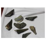 Lot of 8 Partial Megalodon Tooth