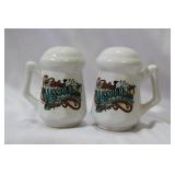 A Pair of Salt and Pepper Shakers