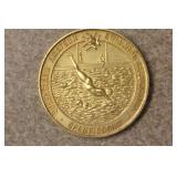 Queensland Amateur Swimming Championship Medal