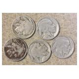 Lot of 5 Buffalo Nickels