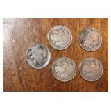 Lot of 5 Buffalo Nickels