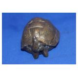 Heavy Metal Erotic Turtle