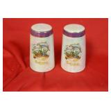 A Pair of Salt and Pepper Shaker