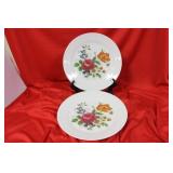 A Pair of Hutschenreuther China Floral Plates