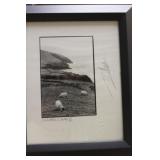 Signed Giles Norman Framed Photograph