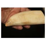 Antique Whale Article