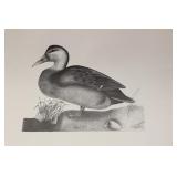 A Limited Edition Print