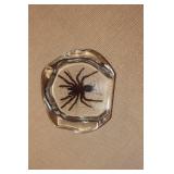 Lucite Spider Brock