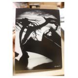 Unframed Nude Photograph