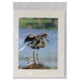 A Signed Bird Photograph