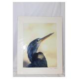 A Signed Bird Photograph