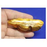 Amber Root Pin