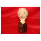 An Owl