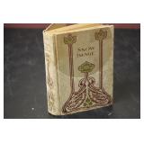 Book - Snow Image