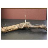 A Drift Wood Art