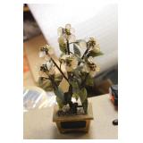 Jade Tree