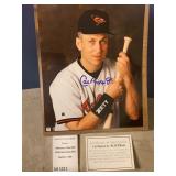 Autographed Photo Shortstop Cal Ripken Jr. Baltimore Orioles W COA