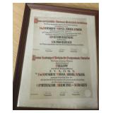 Medical Ephemera - Framed Ophthalmology Certificate Vienna Academy of Medicine