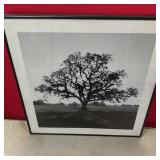 Fiat Lux Portfolio Oak Tree, Sunrise Print By Landscape Photographer Ansel Adams