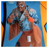 Surfer Era Sting WCW Wrestling Poster