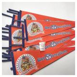 1976 Walt Disney World Souvenir Pennant Lot of 9
