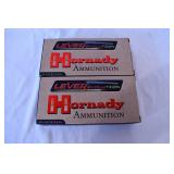 Hornady .45-70 GOVT Ammunition, 2 Boxes