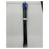 Lot of 12 Archery Arrows