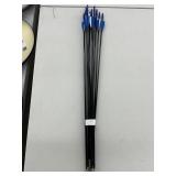 Lot of 12 Archery Arrows
