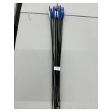 Lot of 12 Archery Arrows