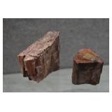 Rough Petrified Agatized Wood