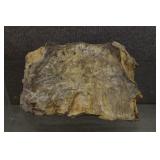 Agatized Wood Fragment