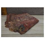 Arizona Rainbow Petrified Wood Slab