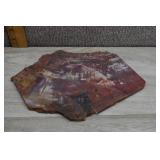 Arizona Rainbow Petrified Wood Slab