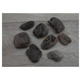 Tektite & Saffordite Specimens