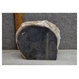 Polished Petrified Wood Limb Section