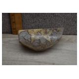 Sliced Septarian Nodule Specimen