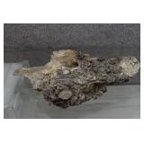 13' Chalcopyrite/Galena/Etc on Chert Matrix