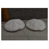 Sea Biscuit (Puffy Sand Dollar) Shells