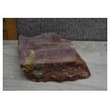 Arizona Rainbow Petrified Wood Slab