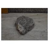 Quartz Crystals on Fossilized Coral