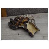 Botryoidal Gobi Desert Eye Agate Cluster