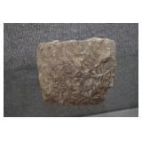 Fossilized Stromatolite Specimen