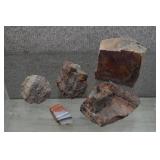 Rough Petrified Wood Specimens