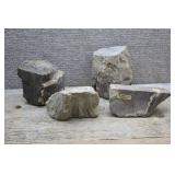 Lot of Petrified Wood Specimens