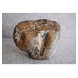 Petrified Wood 4.5'