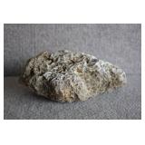 Limestone Tufa Rock Specimen