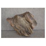 Petrified Wood Specimen 8.5'