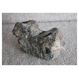 Black Petrified Wood Specimen
