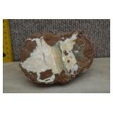 Opalized Thunder Egg Half 5'