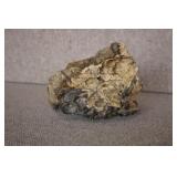 Petrified Wood Specimen 8'